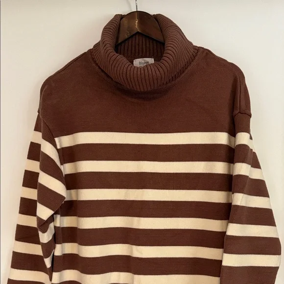 Striped Brown and Cream Turtleneck Dress - Picture 3 of 7